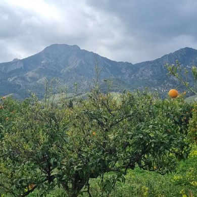 Grond in Carratraca, Provincia de Málaga