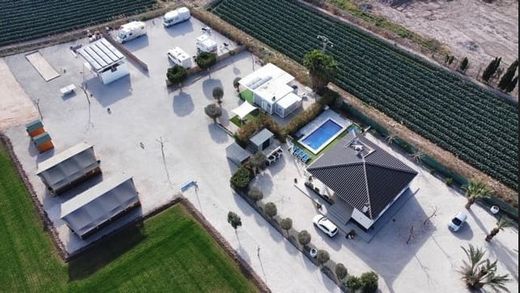 别墅  El Camino de Catral, Provincia de Alicante