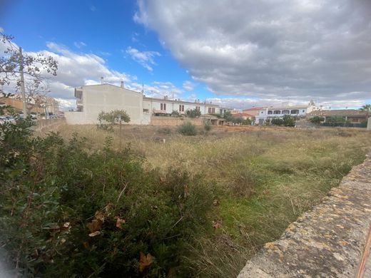 Terreno en Palma de Mallorca, Islas Baleares