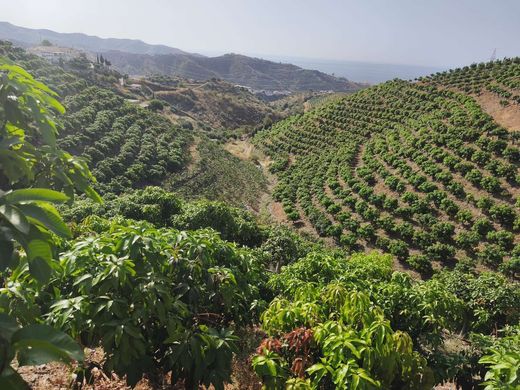 호화 저택 / Rincón de la Victoria, Provincia de Málaga