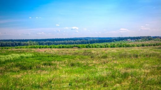 Teren w Odintsovo, Moscow Oblast