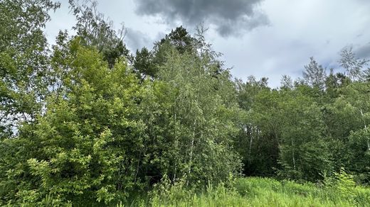 ‏קרקע ב  Tagan’kovo, Moscow Oblast