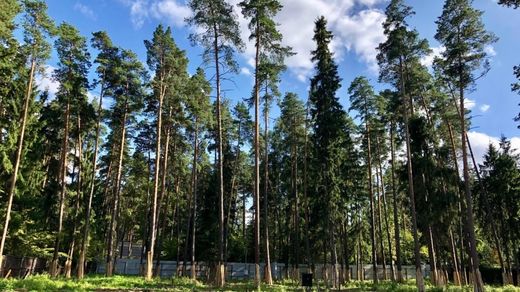 Grond in Chesnokovo, Moscow Oblast