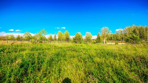 Teren w Maslovo, Moscow Oblast