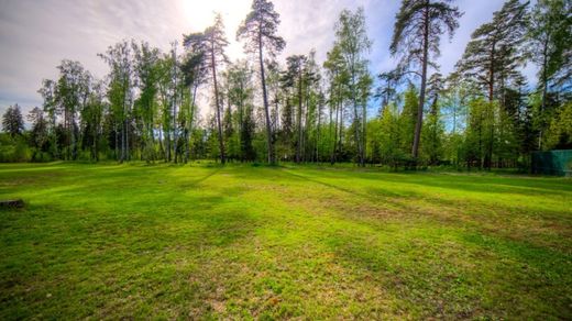 Land in Shul’gino, Volokolamskiy Rayon