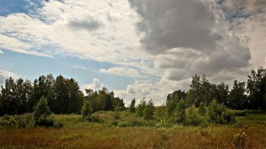 Grundstück in Timoshkino, Moscow Oblast