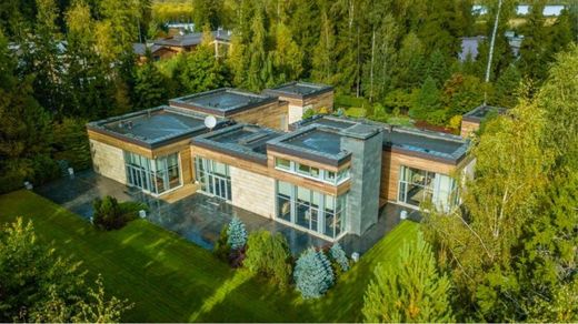 Rumyantsevo, Moscow Oblastのヴィラ