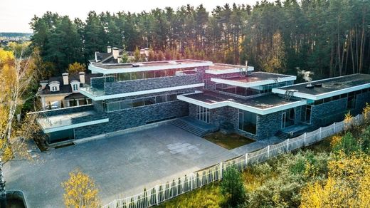 Chesnokovo, Moscow Oblastのヴィラ