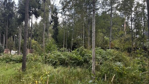 토지 / Gribovo, Moscow Oblast