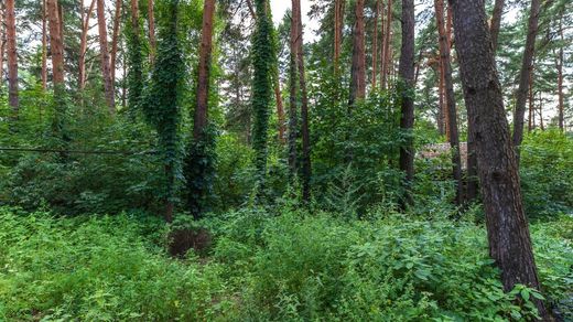 Terreno en Gorki Vtoryye, Moscu Ciudad Federal