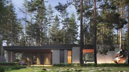 Villa in Istra, Moscow Oblast