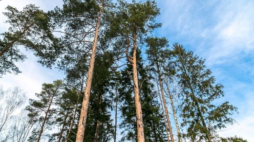 Terrain à Uspenskoye, Moscow Oblast