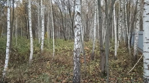 Terreno en Odintsovo, Moscu Ciudad Federal
