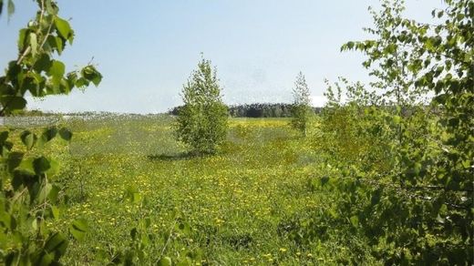 Terreno - Pozdnyakovo, Moscow Oblast