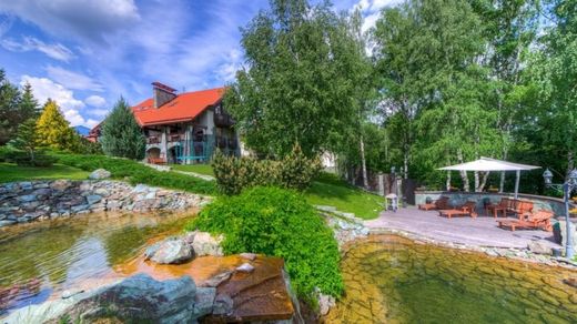 Villa à Anosino, Moscow Oblast