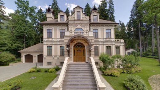 Willa w Tagan’kovo, Moscow Oblast