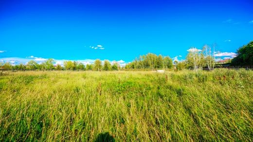 Terreno - Buzayevo, Moscow Oblast