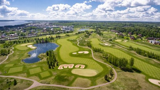 Rumyantsevo, Moscow Oblastの土地