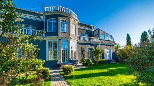 Lyzlovo, Ruzskiy Rayonのヴィラ