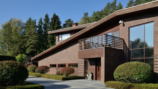 Chesnokovo, Moscow Oblastのヴィラ