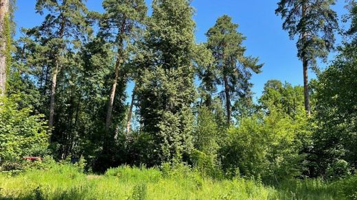 Land in Barvikha, Moskovskaya