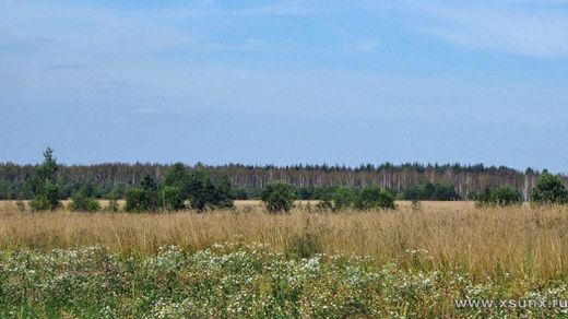 Grond in Stepan’kovo, Moscow Oblast