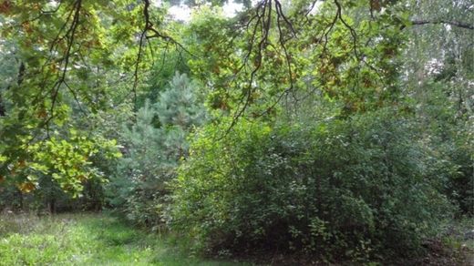 Terrain à Kalchuga, Moscow Oblast