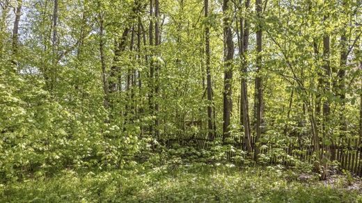 Land in Novodar’ino, Moskovskaya