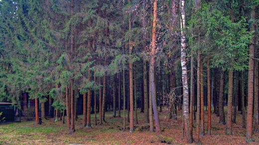 Terreno a Mosca, Moskva