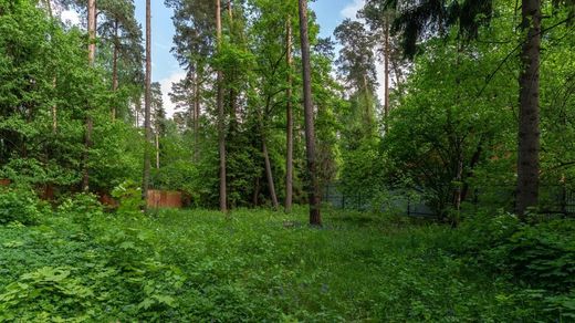 Land in Nikolina Gora, Moskovskaya