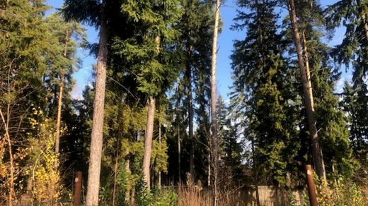 Terreno en Nikolina Gora, Moscu Ciudad Federal