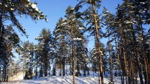 Land in Uspenskoye, Moskovskaya