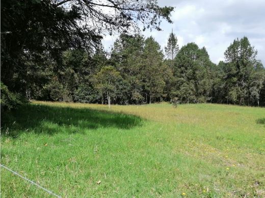 ‏קרקע ב  Envigado, Departamento de Antioquia