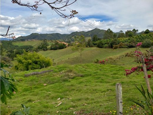 ﻣﻨﺰﻝ ﺭﻳﻔﻲ/ ﺑﻴﺖ ﻤﺰﺭﻋﺔ ﻓﻲ San Vicente, San Vicente Ferrer