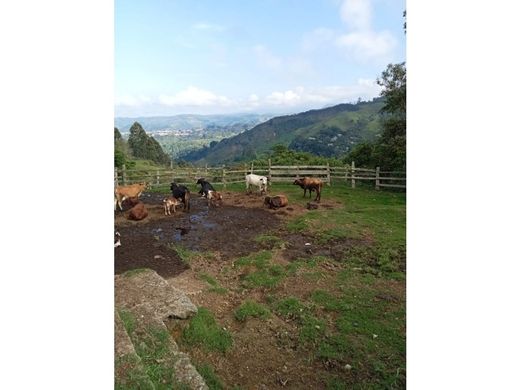 Ferme à Salento, Quindío Department