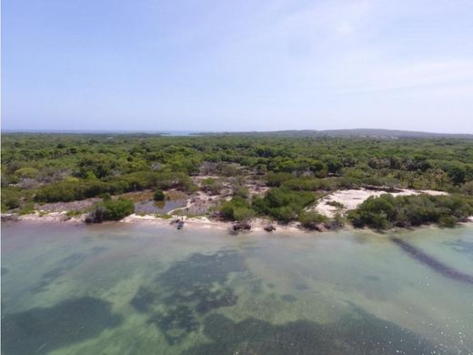 Arsa Cartagena, Cartagena de Indias