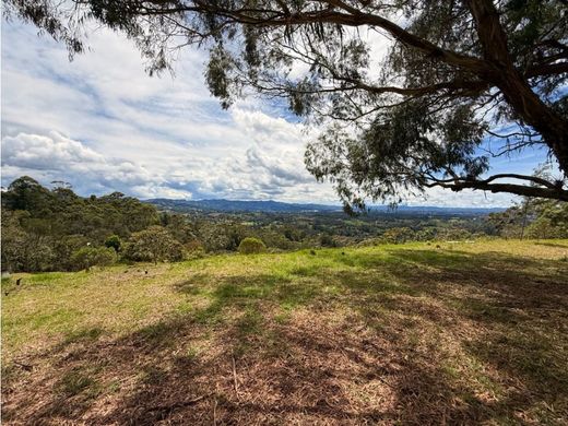 Terreno - Rionegro, Departamento de Antioquia