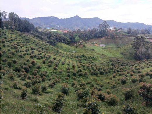 Grond in Medellín, Departamento de Antioquia
