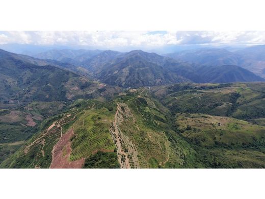 Ρουστίκ ή αγροικία σε Uramita, Departamento de Antioquia