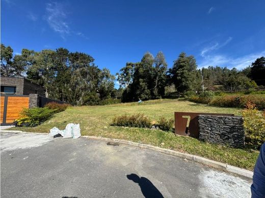 地皮  麦德林, Medellín