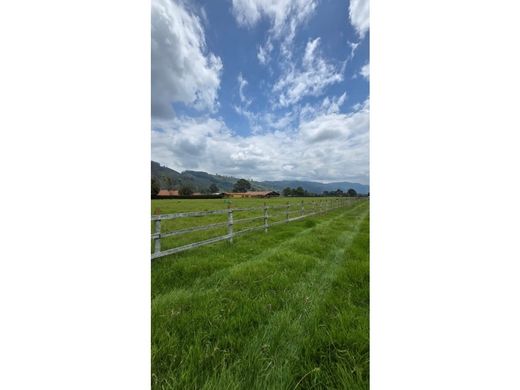 Teren w Tenjo, Departamento de Cundinamarca