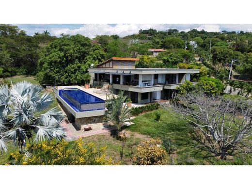 Загородный Дом, La Mesa, Chaguaní