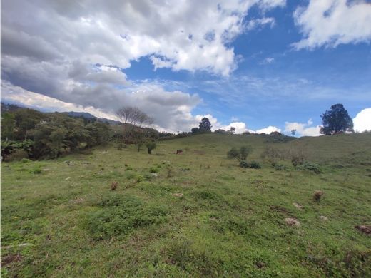 地皮  Rionegro, Departamento de Antioquia