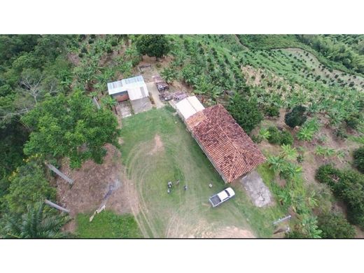 Gutshaus oder Landhaus in Balboa, Departamento de Risaralda