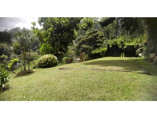 Участок, Медельин, Medellín