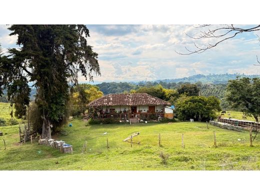 村舍/农舍  Circasia, Quindío Department