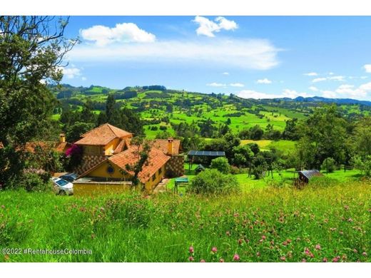 Zipaquirá, Departamento de Cundinamarcaの土地