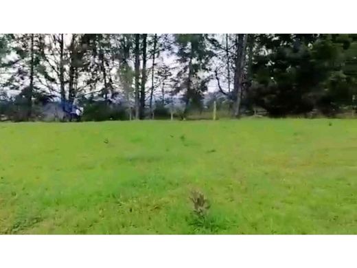 Grundstück in Rionegro, Departamento de Antioquia