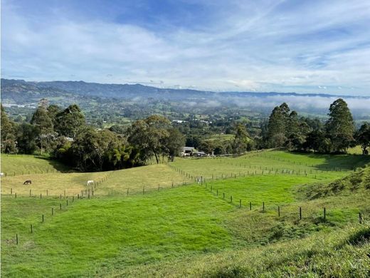 Land in Rionegro, Departamento de Antioquia