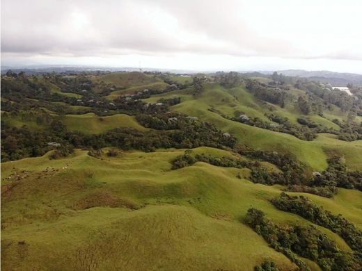 Ρουστίκ ή αγροικία σε Filandia, Quindío Department
